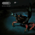 Prodigy: Fat Of The Land - 25th Anniversary Edition