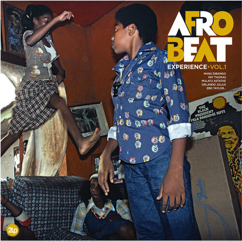 Afrobeat Experience: Vol 1 ( Vinyl )
