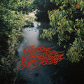 Surprise Chef: Education & Recreation ( Vinyl )