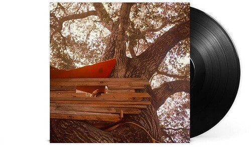 Backseat Lovers: Waiting To Spill ( Vinyl )