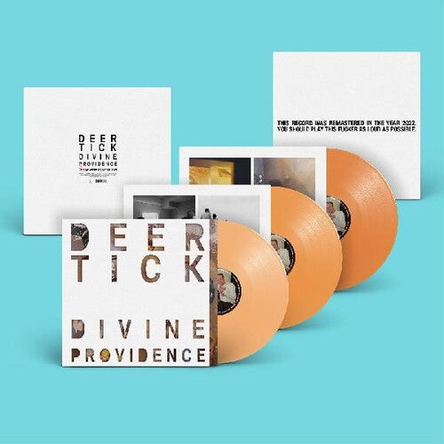 Deer Tick: Divine Providence ( Vinyl )