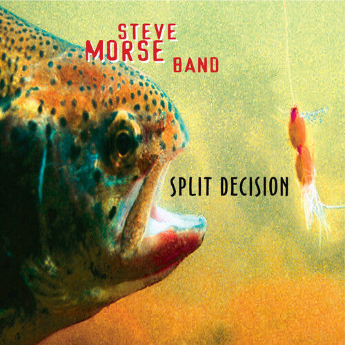 Steve Morse Band: Split Decision ( Vinyl )