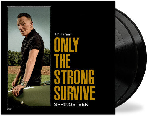 Bruce Springsteen: Only The Strong Survive ( Vinyl )