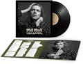 David Bowie: A Divine Symmetry (An alternative journey through Hunky Dory) ( Vinyl )