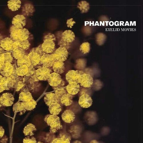 Phantogram: Eyelid Movies ( Vinyl )