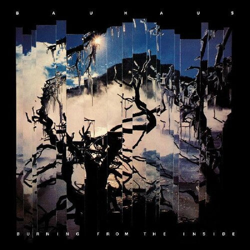 Bauhaus: Burning From The Inside ( Vinyl )