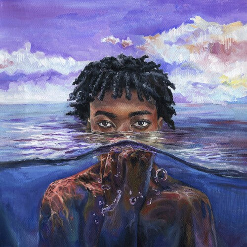 Redveil: LEARN 2 SWIM ( Vinyl )