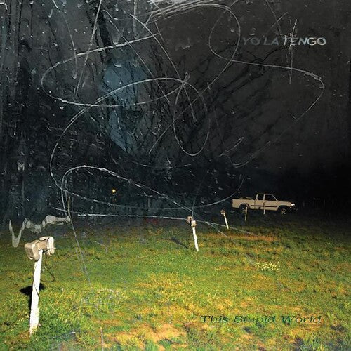 Yo La Tengo: This Stupid World ( Vinyl )
