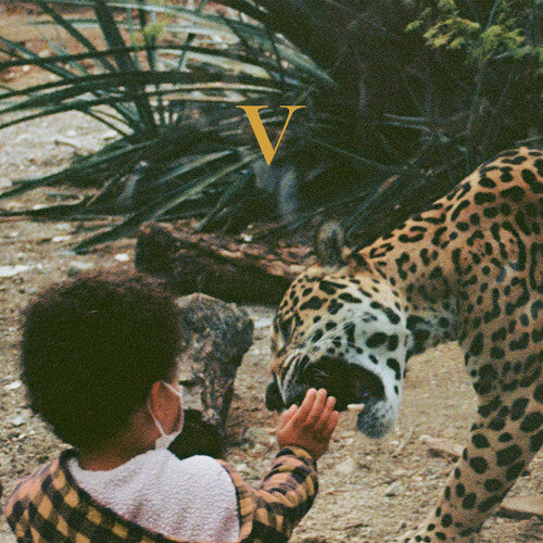 Unknown Mortal Orchestra: V ( Vinyl )