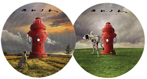 Rush: Signals (40th Anniversary) ( Vinyl )