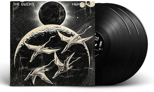 Ducks: High Flyin ( Vinyl )