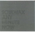 Soulwax: Any Minute Now ( Vinyl )