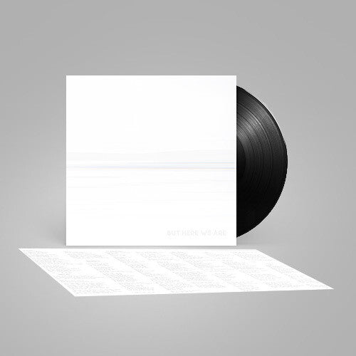 Foo Fighters: But Here We Are (Black Vinyl) ( Vinyl )