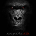 Extreme: Six ( Vinyl )