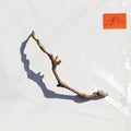 PJ Harvey: I Inside The Old Year Dying ( Vinyl )