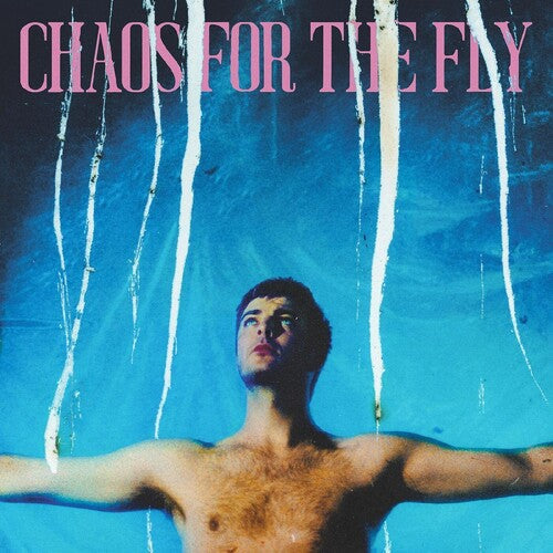 Grian Chatten: Chaos For The Fly ( Vinyl )