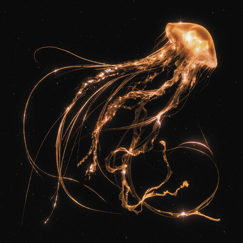 Royal Blood: Back To The Water Below ( Vinyl )