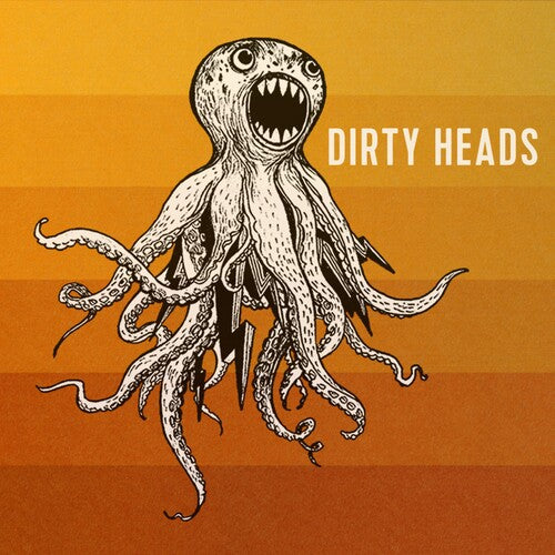 Dirty Heads: Dirty Heads ( Vinyl )