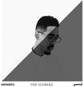 Oddisee: The Iceberg ( Vinyl )