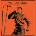 Joy Division: Love Will Tear Us Apart ( Vinyl )