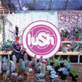 Lush: Lovelife ( Vinyl )