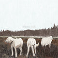 Foxing: The Albatross: Ten Years ( Vinyl )