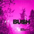 Bush: Loaded: The Greatest Hits 1994-2023 ( Vinyl )