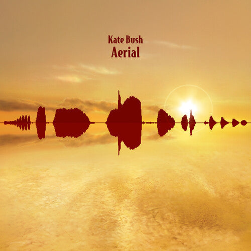 Kate Bush: Aerial - 2018 Remaster 180gm Black Vinyl ( Vinyl )