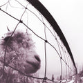 Pearl Jam: Vs. (30th Anniversary Edition) ( Vinyl )