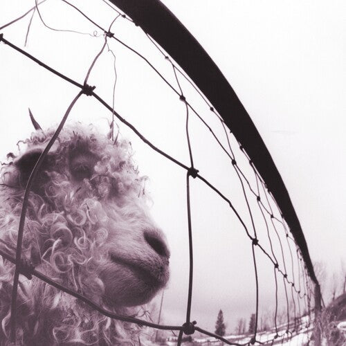 Pearl Jam: Vs. (30th Anniversary Edition) ( Vinyl )