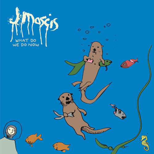 J Mascis: What Do We Do Now ( Vinyl )