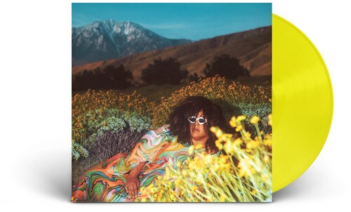 Brittany Howard: What Now ( Vinyl )