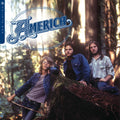 America: Now Playing ( Vinyl )