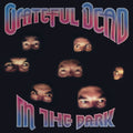Grateful Dead: In The Dark ( Vinyl )