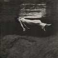 Bill Evans: Undercurrent ( Vinyl )