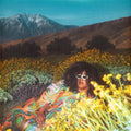 Brittany Howard: What Now ( Vinyl )