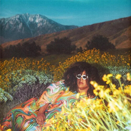 Brittany Howard: What Now ( Vinyl )