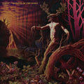 Tarot: Glimpse Of The Dawn ( Vinyl )