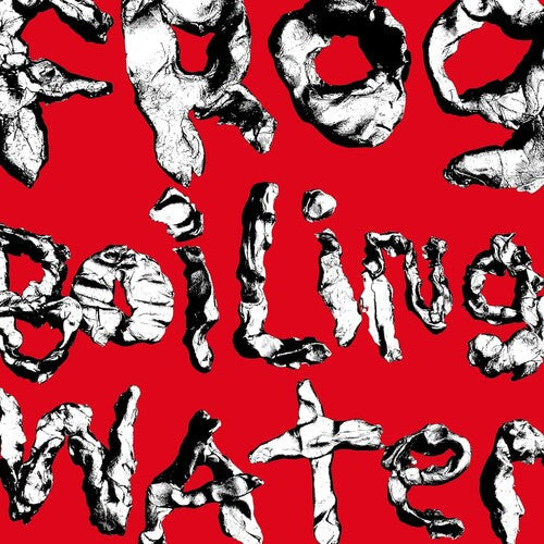 DIIV: Frog In Boiling Water ( Vinyl )