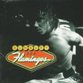 BUNBURY: Flamingos ( Vinyl )