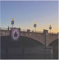 The Early November: Fifteen Years ( Vinyl )