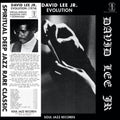 David Jr Lee: Evolution ( Vinyl )