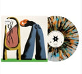 The Story So Far: I Want To Disappear ( Vinyl )