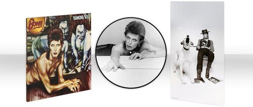 David Bowie: Diamond Dogs (50th Anniversary Picture Disc) ( Vinyl )