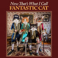 Fantastic Cat: Now That's What I Call Fantastic Cat ( Vinyl )