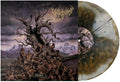 Vulvodynia: Entabeni ( Vinyl )