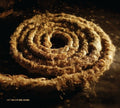 Coil: Recoiled ( Vinyl )