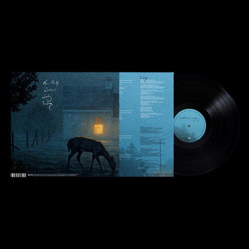 Dermot Kennedy: I've Told The Trees Everything ( Vinyl )