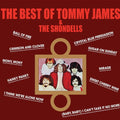 Tommy James & the Shondells: Best Of Tommy James & The Shondells ( Vinyl )
