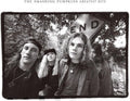 Smashing Pumpkins: Rotten Apples: Greatest Hits ( Vinyl )